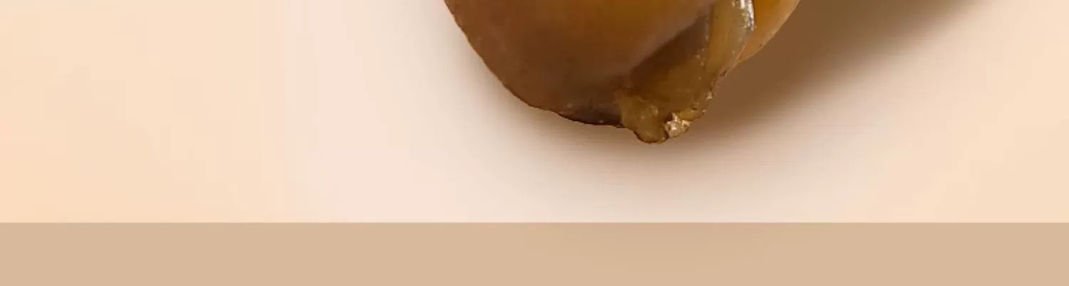 1700034398115654.jpg