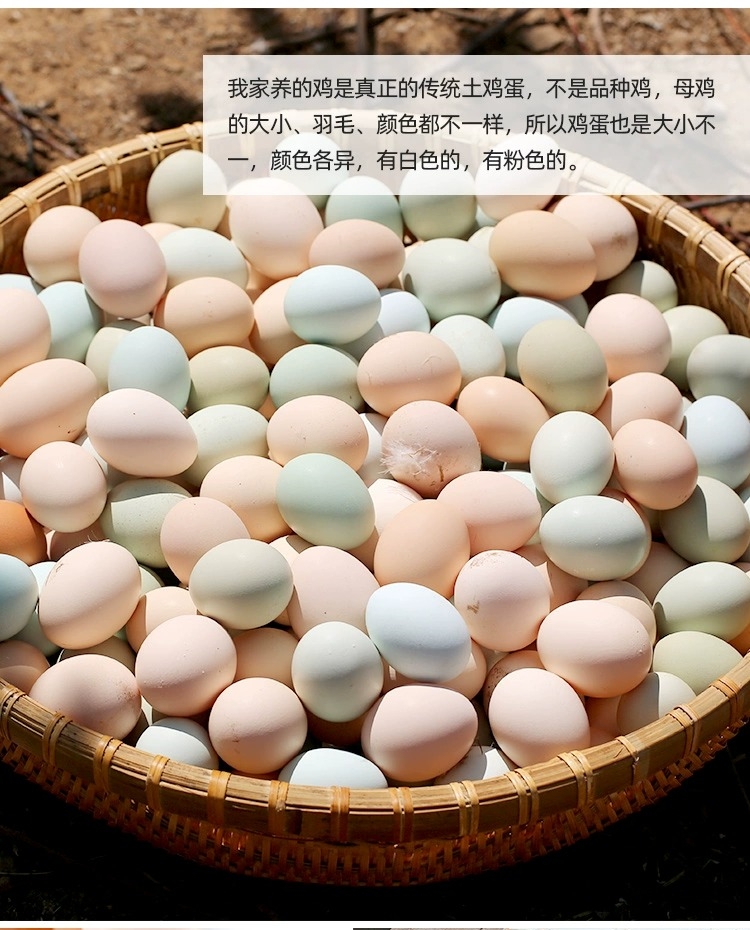 1700035112437204.jpg