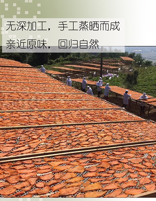 1700038837124437.jpg