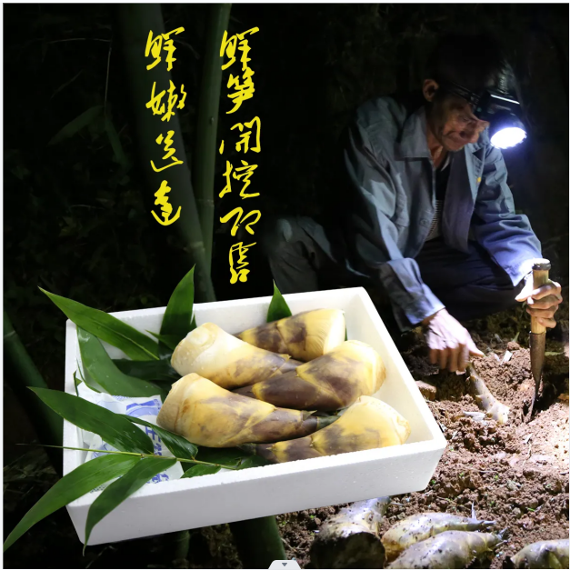 1700114253633307.png