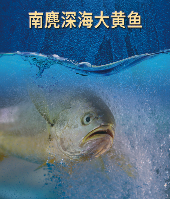 1700115719348244.png