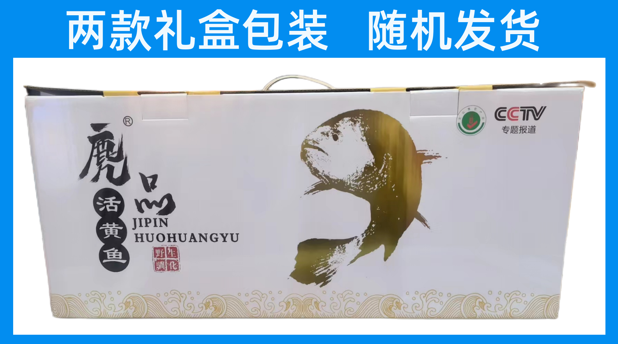 1700116459842287.png
