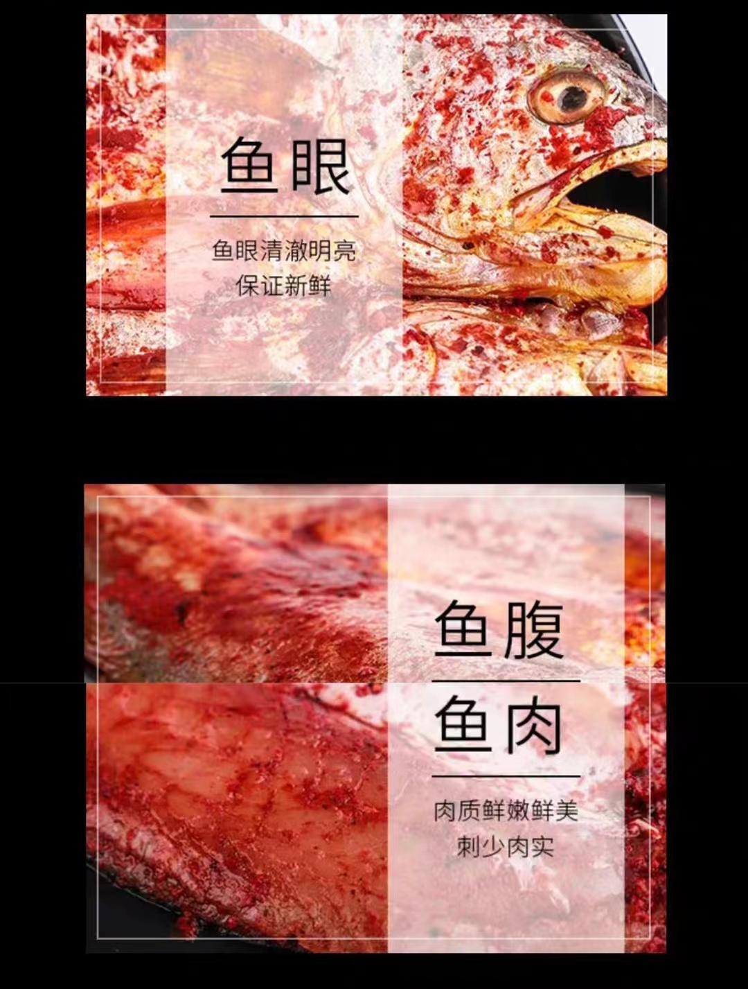 1697180185761326.jpg