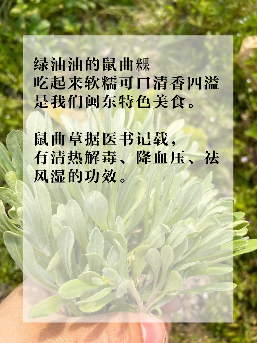 1699944744579635.jpg